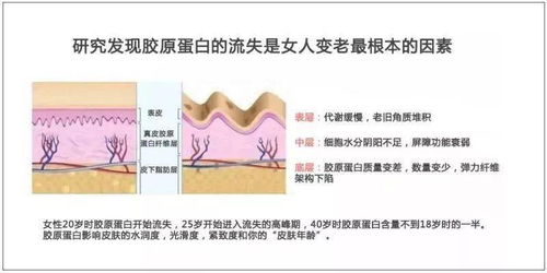 愛美愛健康女性請注意 川沙膠原蛋白飲品工廠雙11限量內(nèi)購會，飲品0.5折起，內(nèi)衣及配件超值熱銷